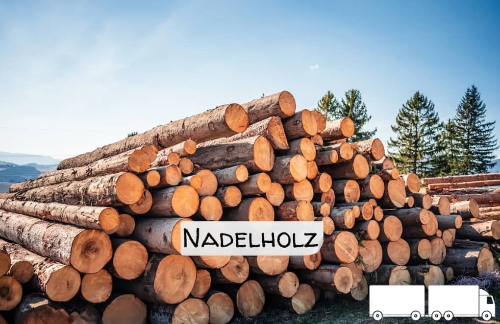 Stammholz - Nadelholz - ganze LKW-Ladung 40 RM